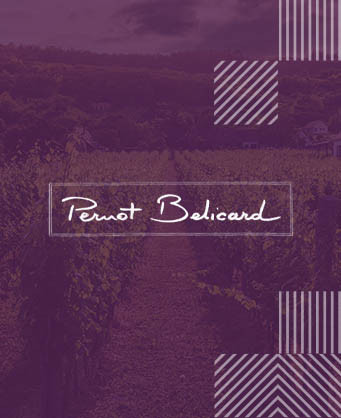Pernot Belicard
