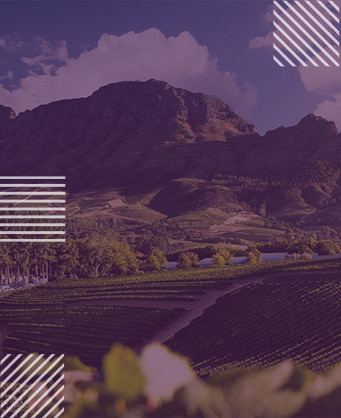 Western Cape