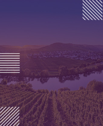 Mosel