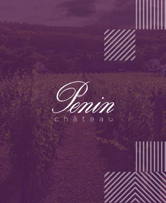 Chateau La Fleur Penin