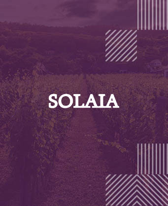 Solaia