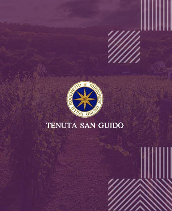 Tenuta San Guido