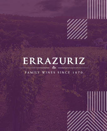 Viña Erraziriz