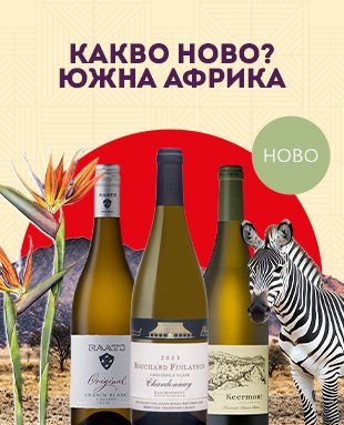 Южна Африка