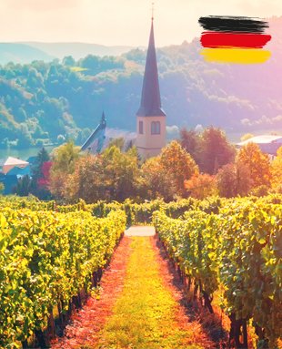 Германия има един от най-студените, най-кратките сезони на растеж от всички основни лозарски региони, което е причина само няколко сортове грозде да могат да узреят достатъчно за вино.