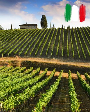 Italy is the country that "breathes in the neck" of France in the ranking of the largest wine producer in the world.