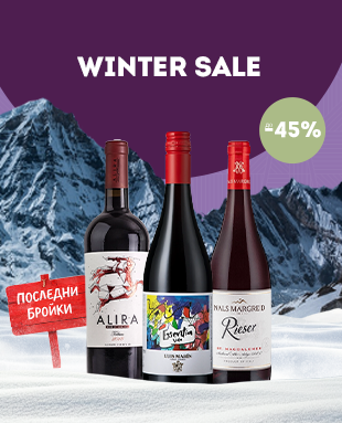 Зимна чистка