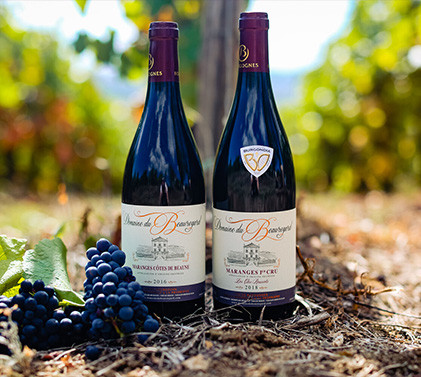Domaine du Beauregard – пет поколения семейни винари от Бургундия