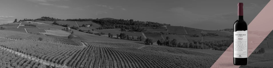 Week of Grenache