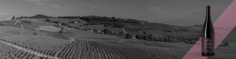 Week of Pinot Noir