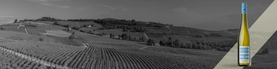 Week of Riesling