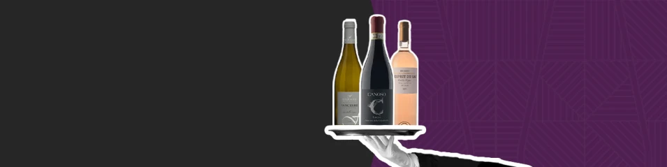 Winedown Black Flash Sale до -50%