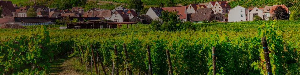 Alsace