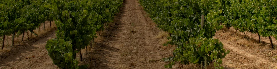 Rioja