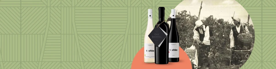 Cellar of the month Tipchenitza