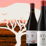 Винена вечеря Южна Африка във Vino & Tapas