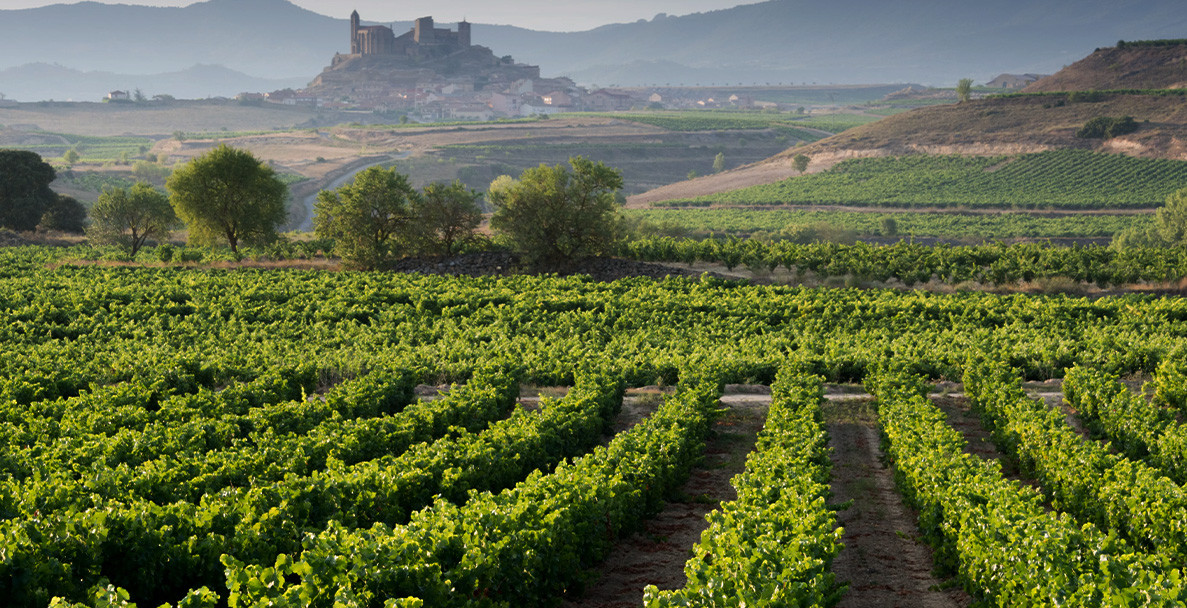 Хедонистични вина от Испания