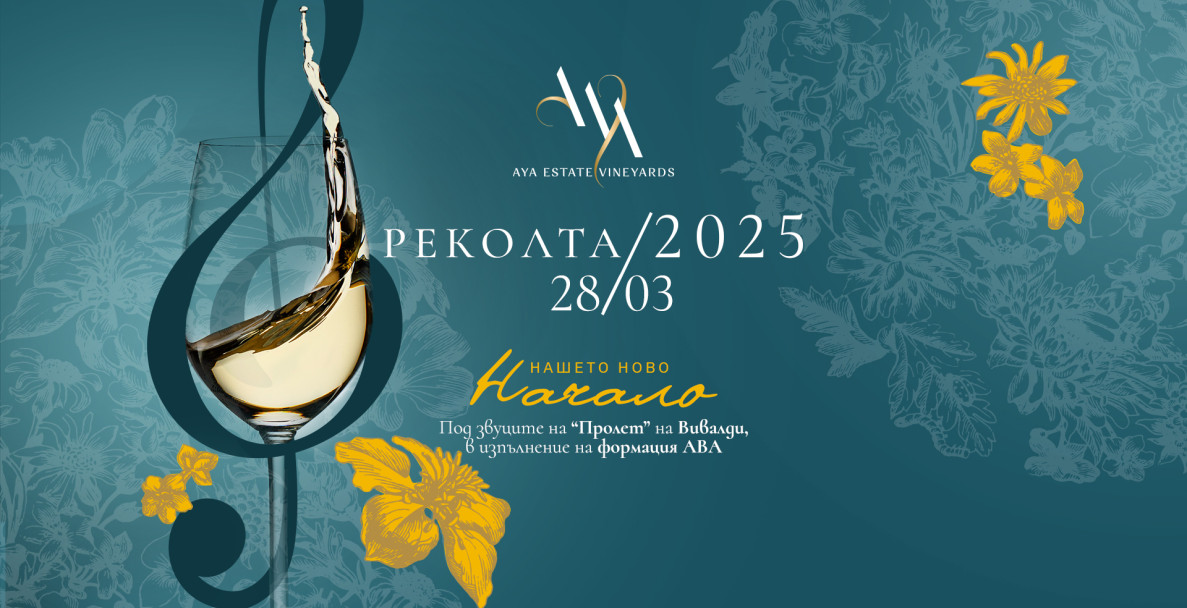 Дегустация в AYA Estate Vineyards: Реколта 2025 - Нашето ново начало