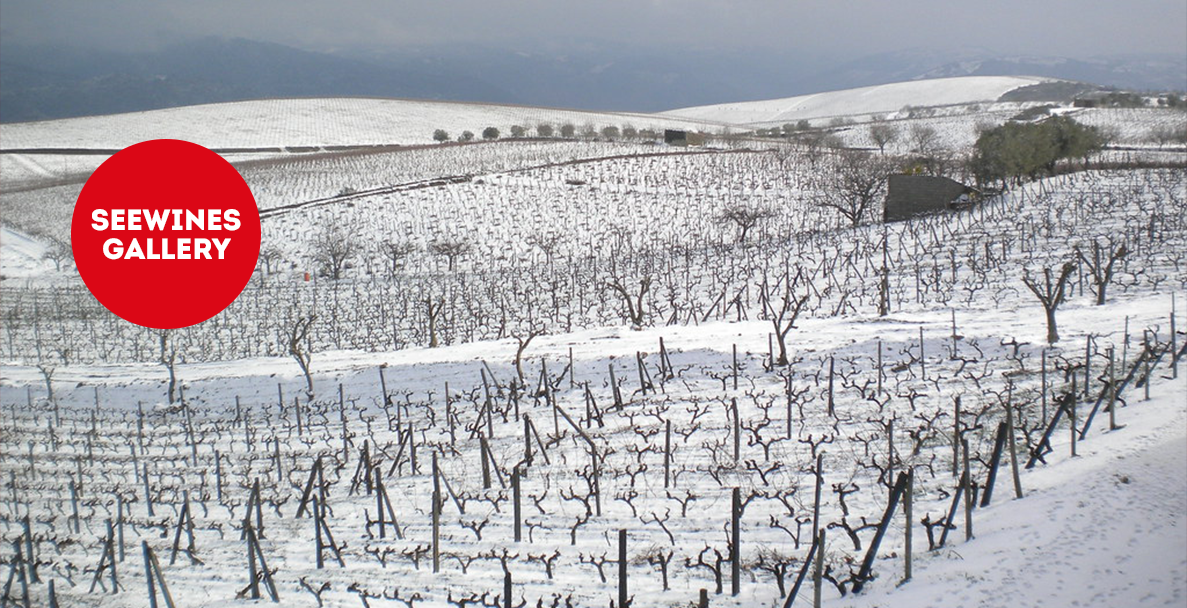 Дегустация в Галерия: Из долината на Дуро