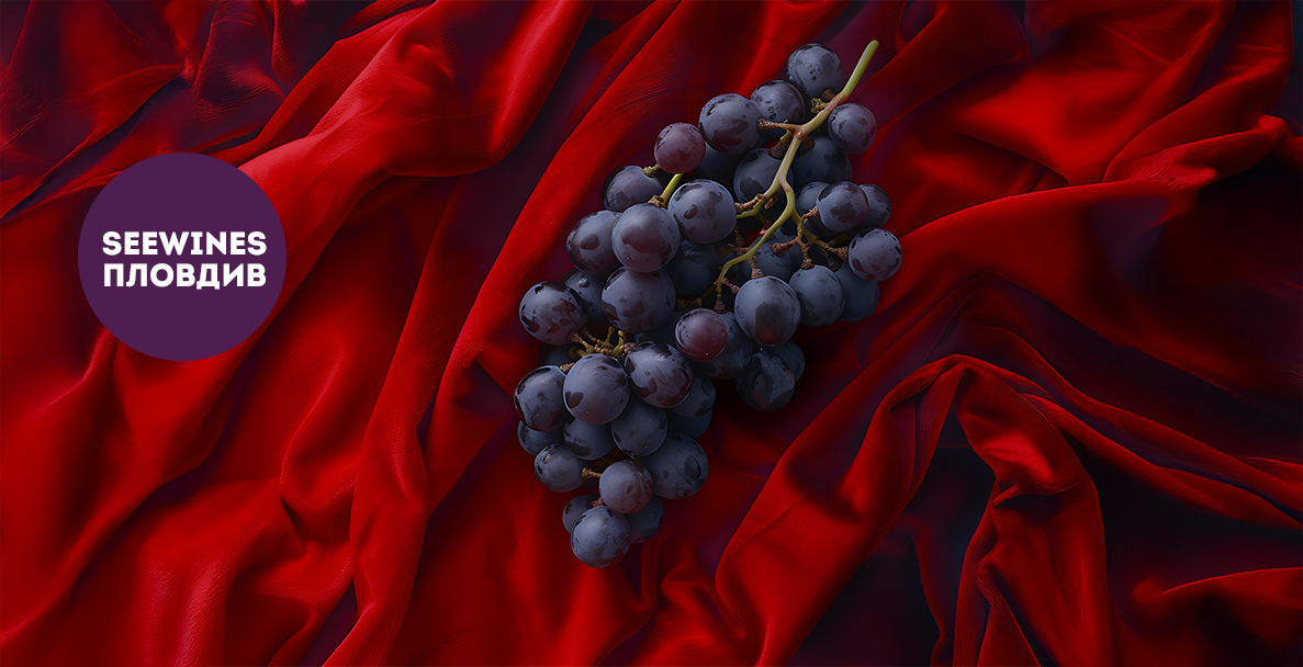 Дегустация в Пловдив: На фокус вина от Родопската яка с гости от избите