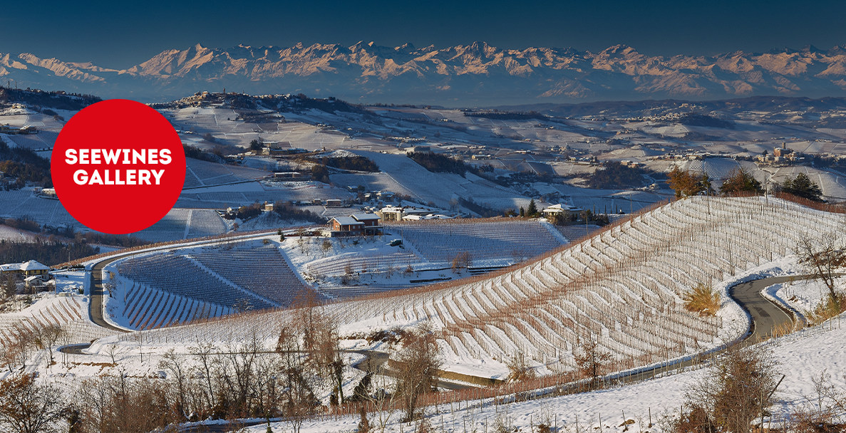 Дегустация в Галерия: Тоскана в чаша