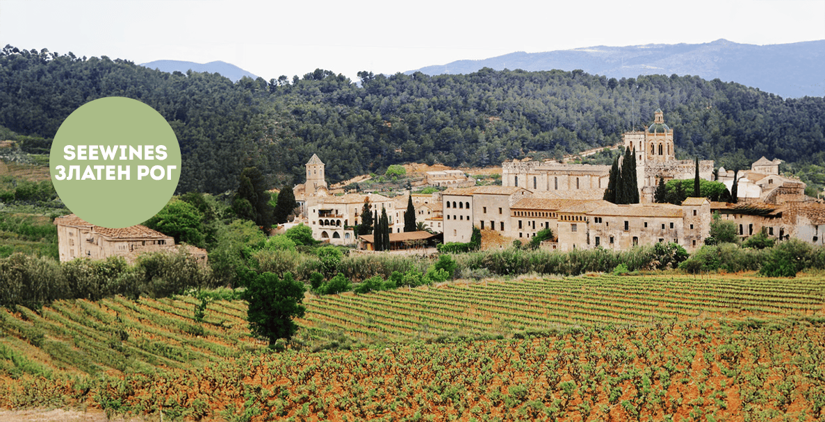 Дегустация в Златен рог: Нов внос кава, изба Mascaró