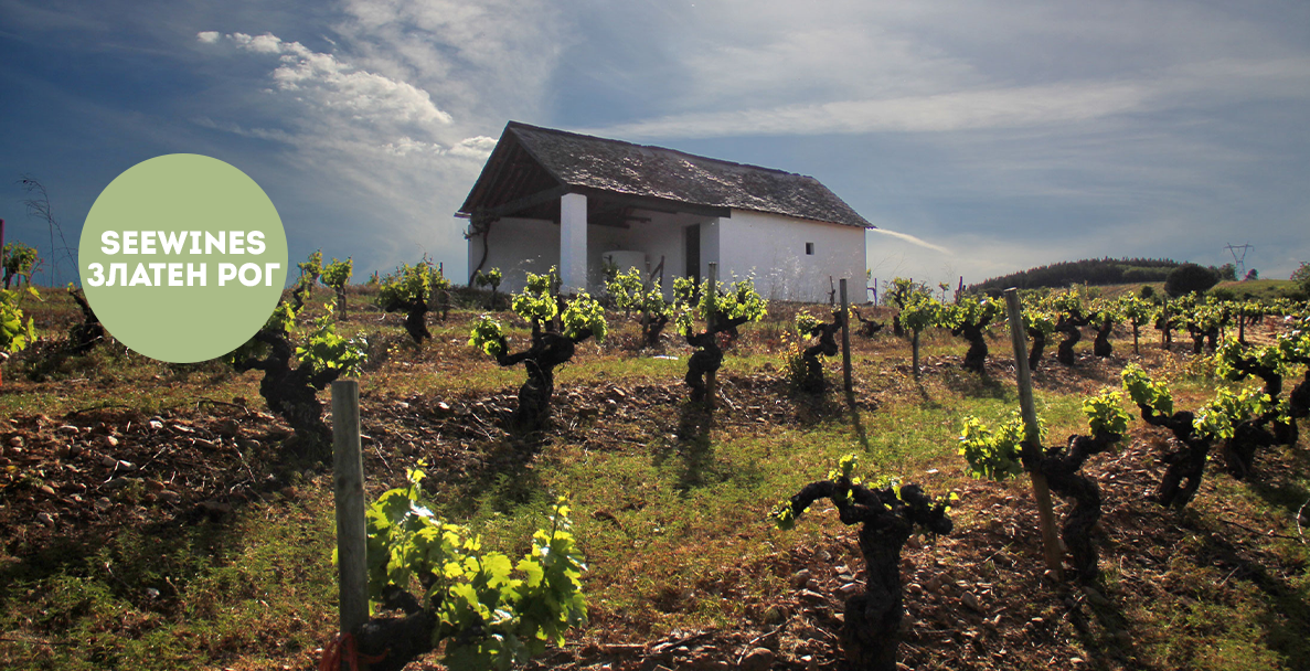 Дегустация в Златен рог: Вината на Биерсо с Bodegas Merayo