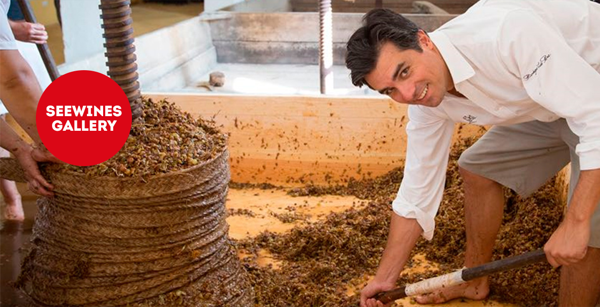 Дегустация в Галерия: Луис Перес и различните вина на Херес