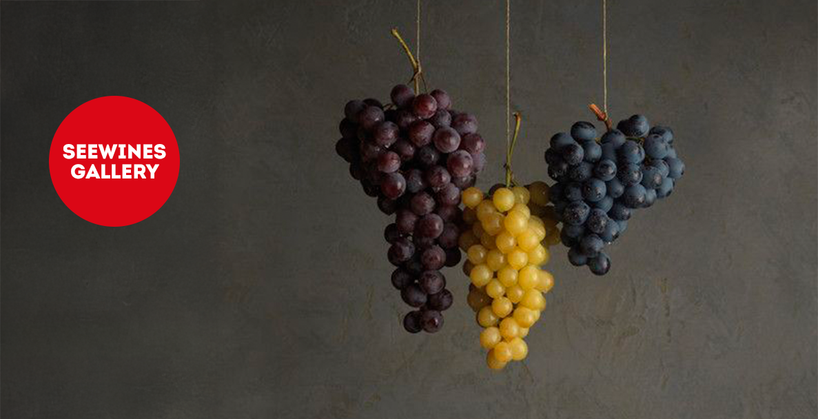 Дегустация в Галерия: Един сорт, различни изражения – сравнителна дегустация