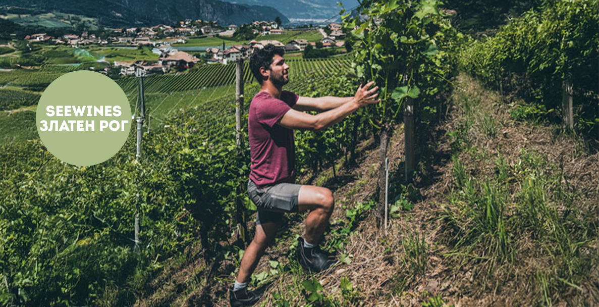 Дегустация в Златен рог: Алпийска елегантност в чаша - Алто Адидже с вината на Pfitscher