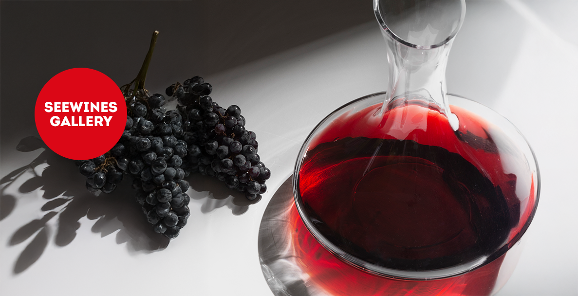 Дегустация в Галерия: Малбек - френска елегантност и аржентинска страст