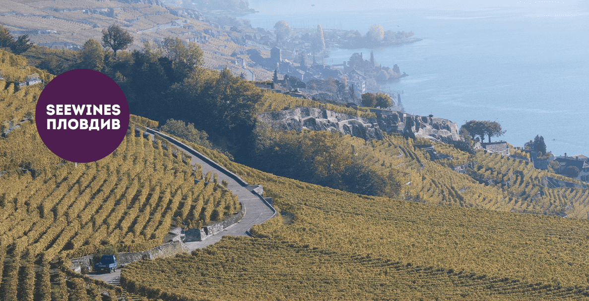 Дегустация в Пловдив: Средиземноморско изкушение: Вина от южните склонове на Италия