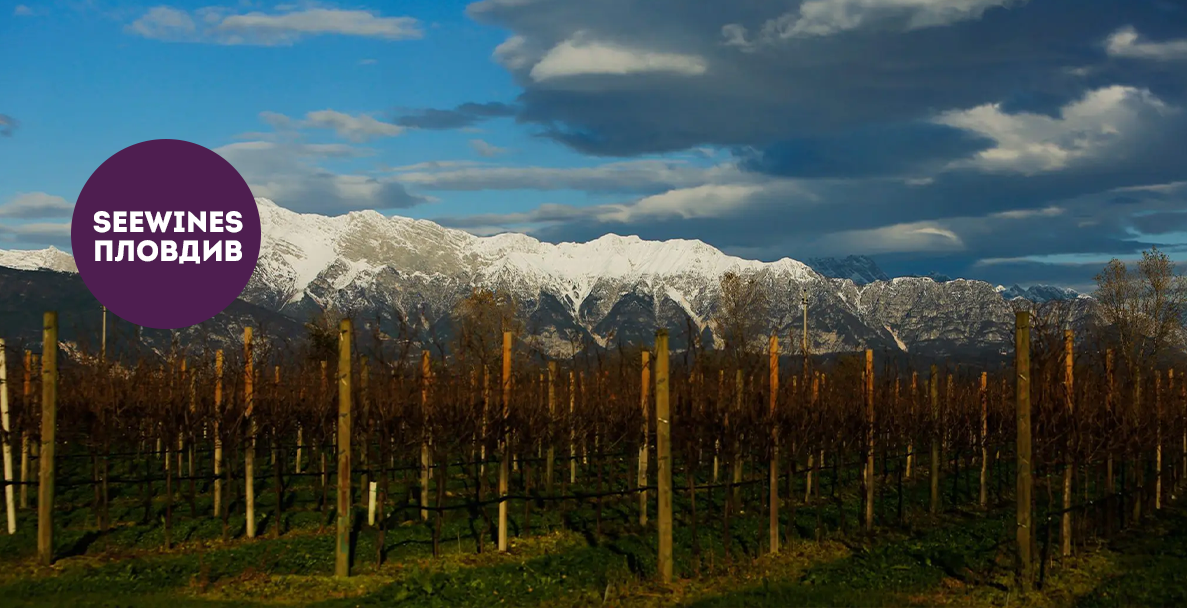 Дегустация в Пловдив: Фриули с вината на Fantinel и La Roncaia