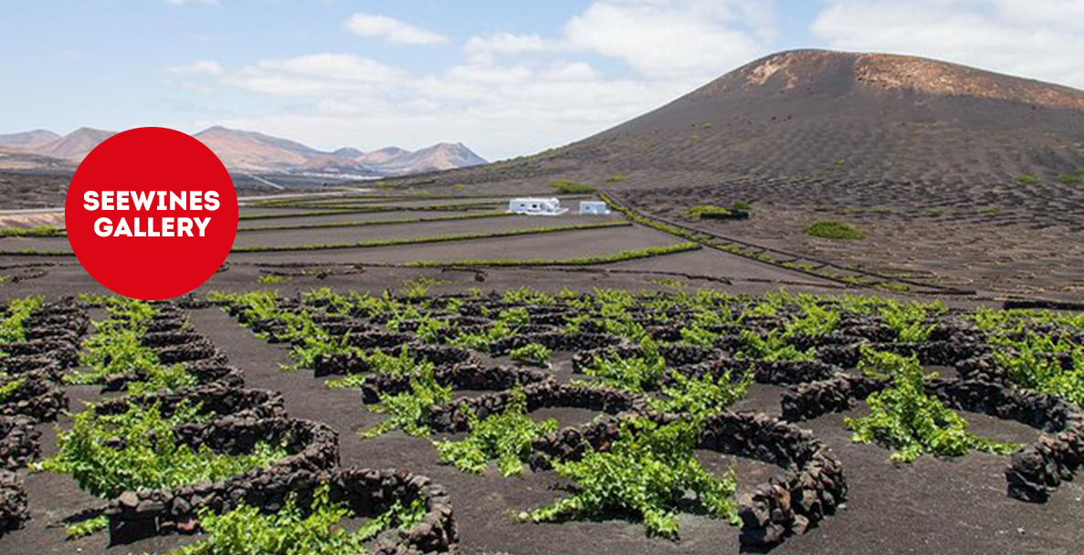 Дегустация в Галерия: Минерална елегантност