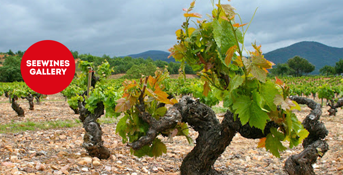 Дегустация в Галерия: Вината на Биерсо с Bodegas Merayo