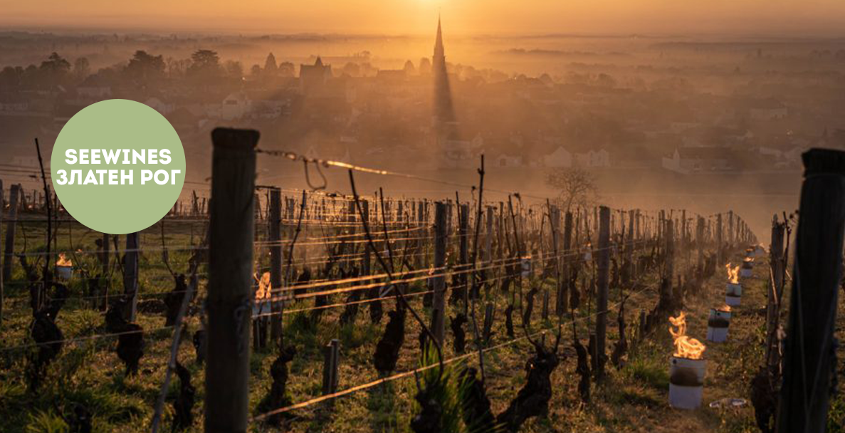 Дегустация в Златен рог: Италия: Класическите северни вина срещу автентичните южни вкусове