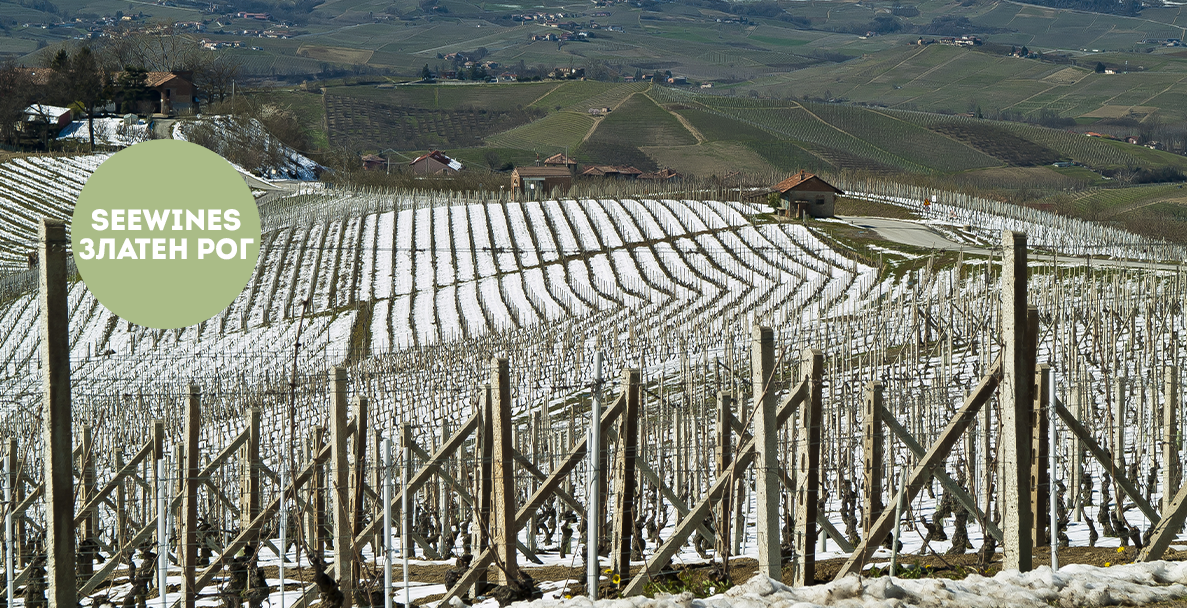 Дегустация в Златен рог: Сицилия – Земя на огън, страст и вечна традиция