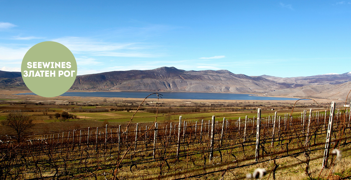 Дегустация в Златен рог: Сурово. Елегантно. Ксиномавро