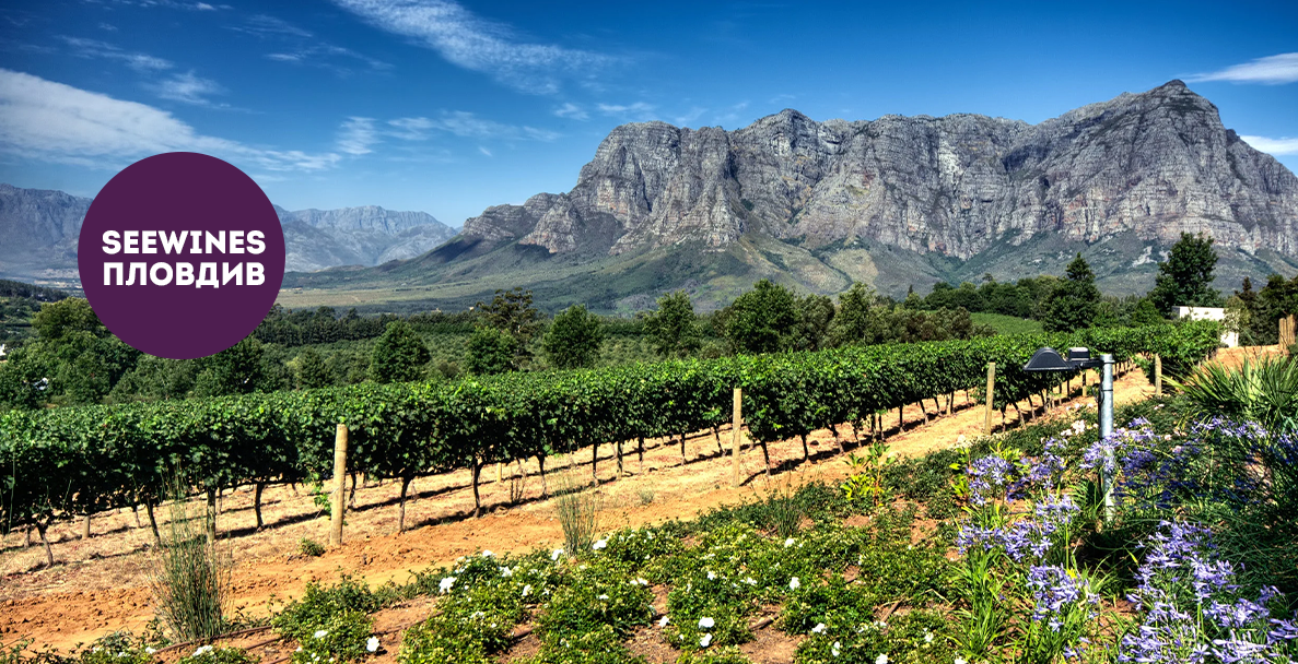 Дегустация в Пловдив: Запознанство с вината на Южна Африка