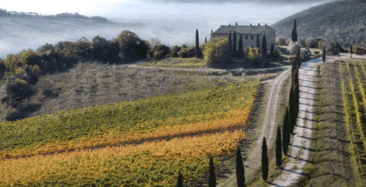 Colline Albelle – биодинамични вина от Тоскана