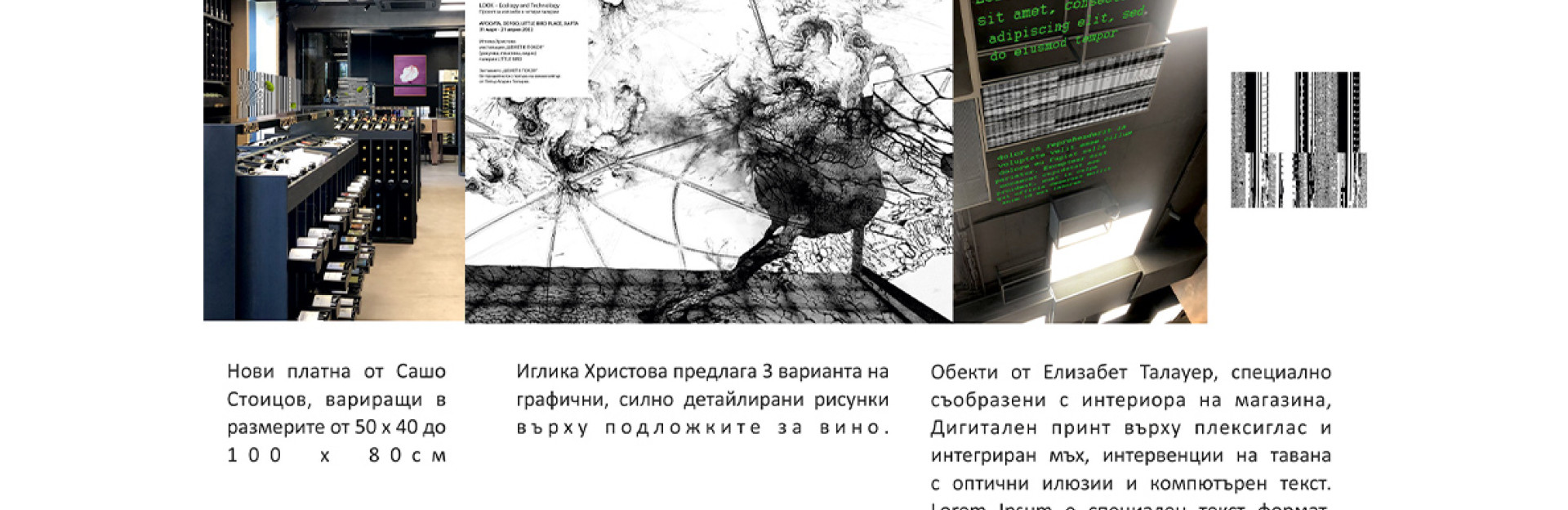 LOOK Ecology and Technology