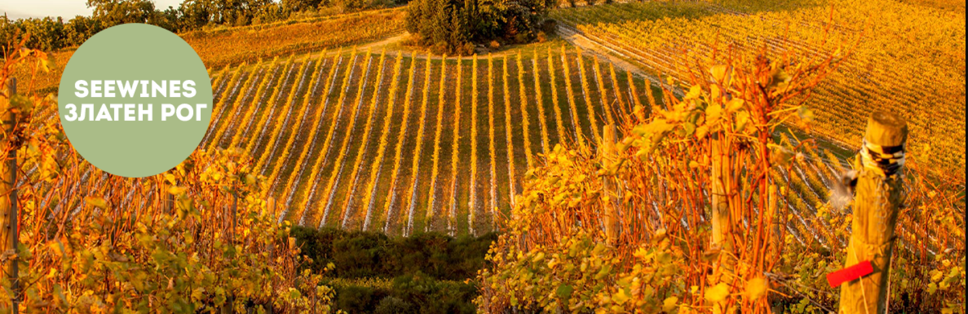 Дегустация в Златен рог: Тоскана – тероар, традиция, темперамент