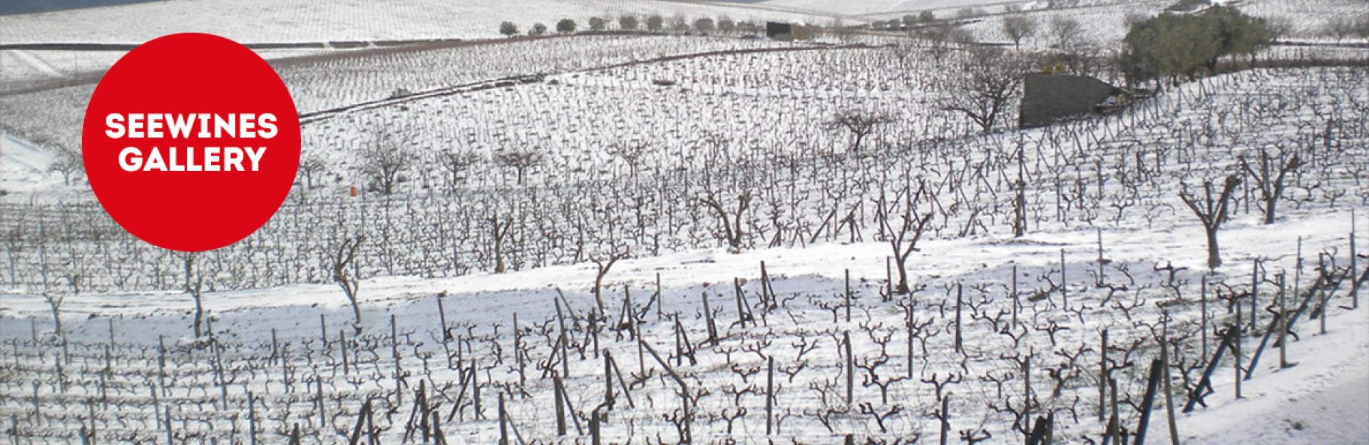 Дегустация в Галерия: Из долината на Дуро