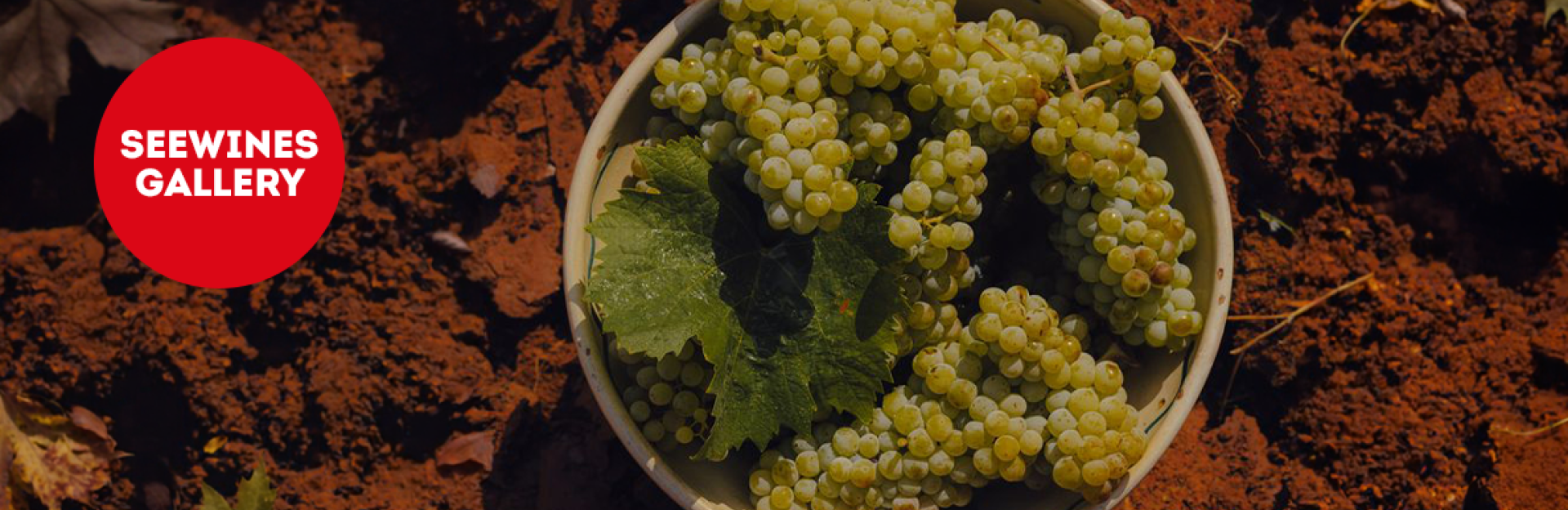 Дегустация в Галерия: Различните лица на Sauvignon Blanc по света