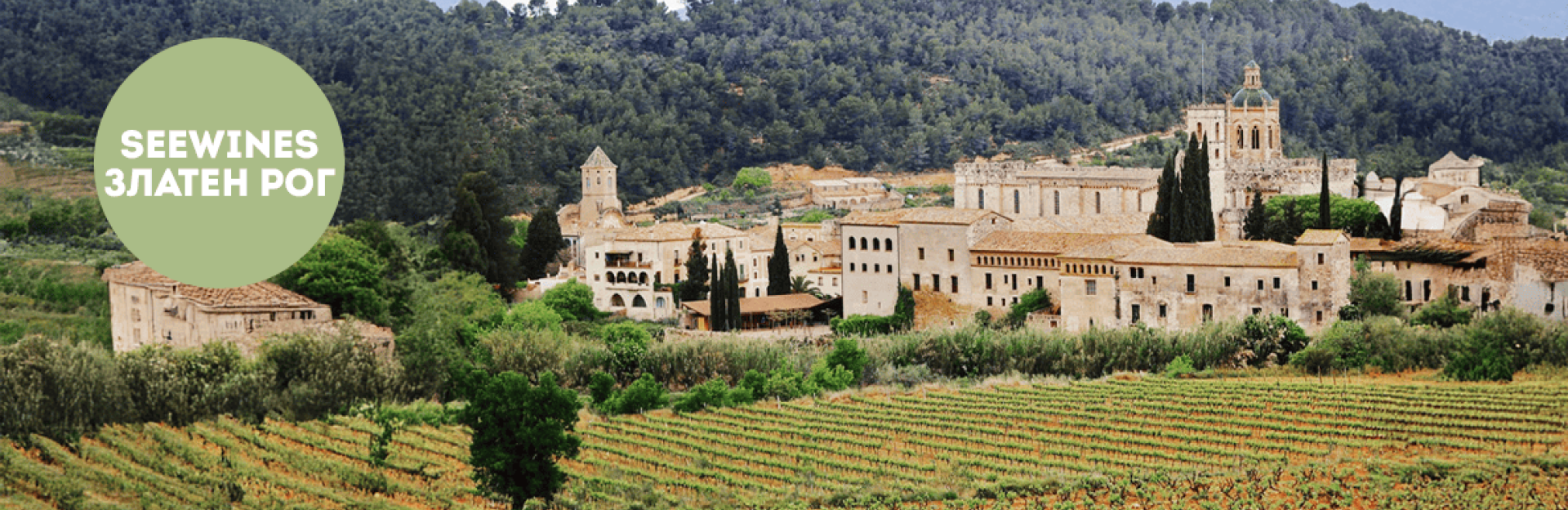 Дегустация в Златен рог: Нов внос кава, изба Mascaró