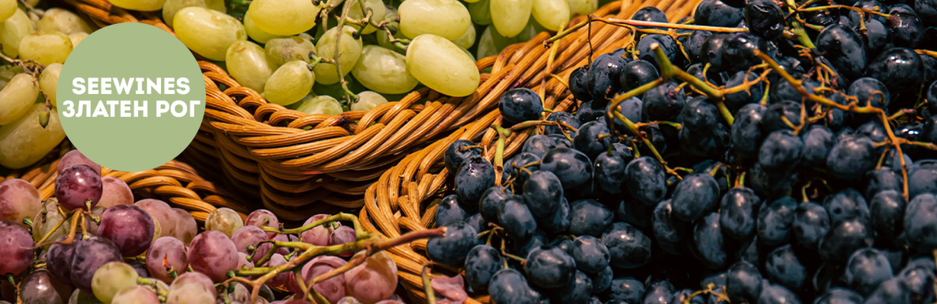 Дегустация в Златен Рог: Rare Grape Night - вечер на не толкова познати сортове