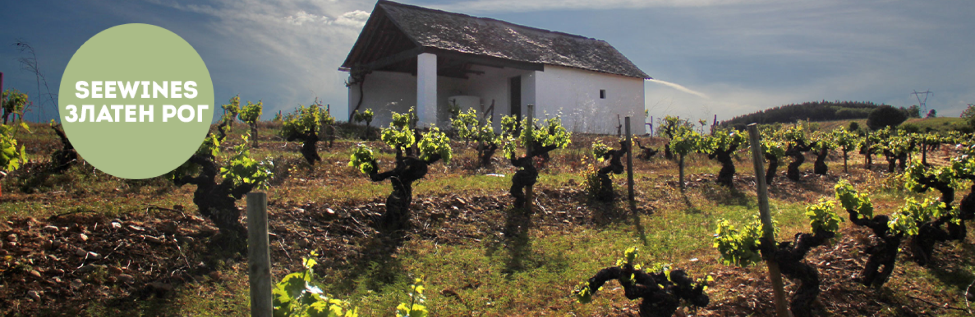 Дегустация в Златен рог: Вината на Биерсо с Bodegas Merayo