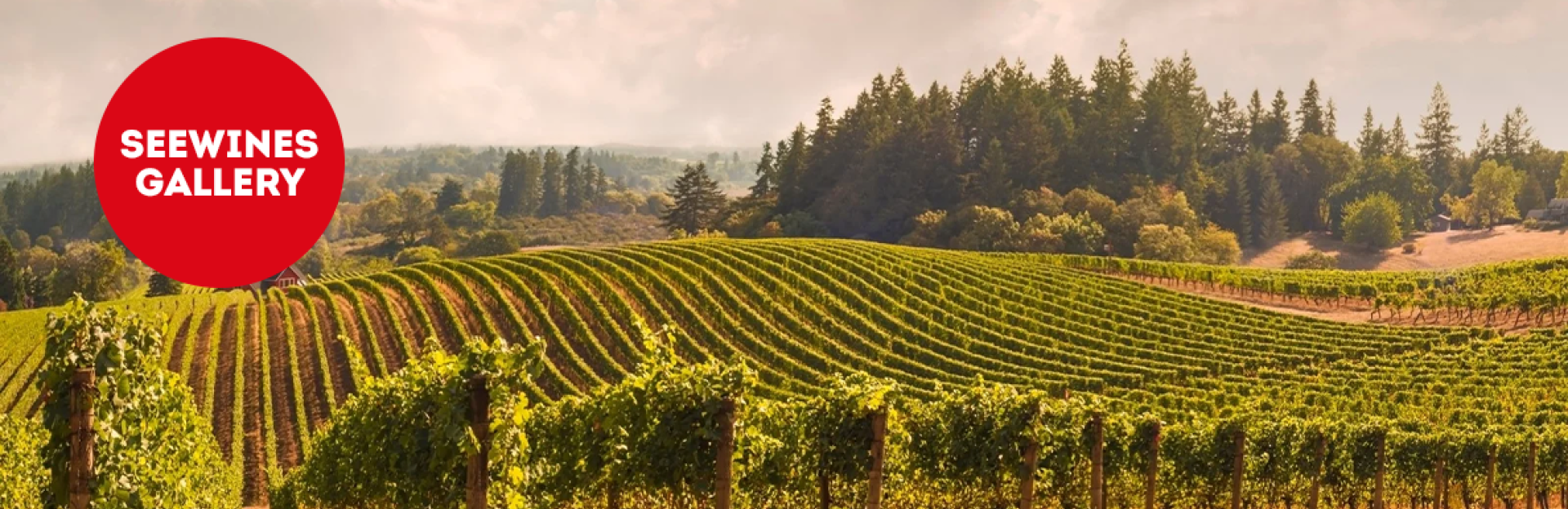 Дегустация в Галерия: Сърцето на Южна Италия Vol.1