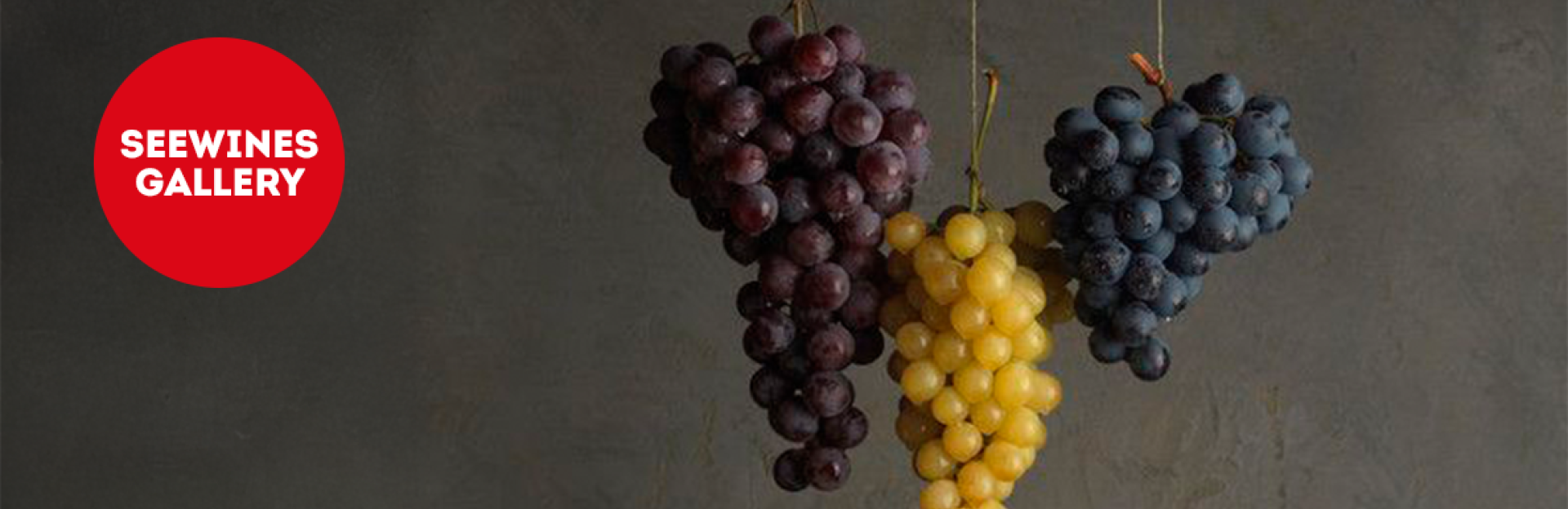 Дегустация в Галерия: Един сорт, различни изражения – сравнителна дегустация