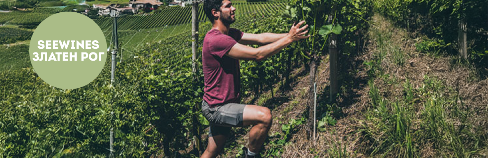 Дегустация в Златен рог: Алпийска елегантност в чаша - Алто Адидже с вината на Pfitscher